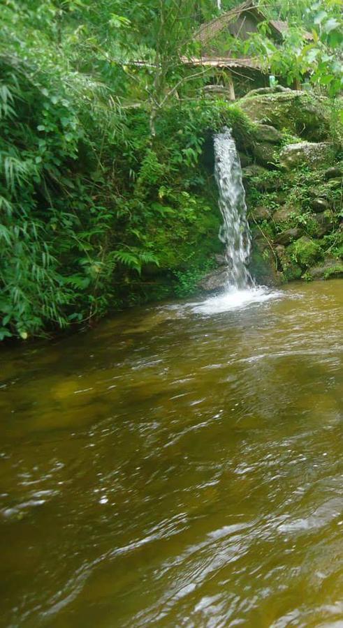 Chale Truta Da Floresta Visconde De Maua Zewnętrze zdjęcie